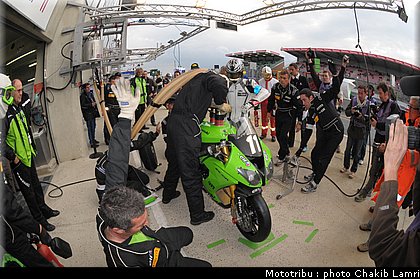paddock_0070.jpg