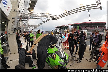 paddock_0071.jpg