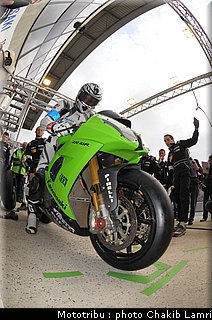paddock_0072.jpg