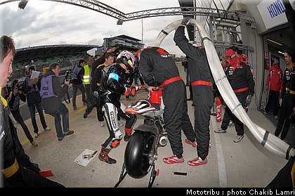 paddock_0073.jpg