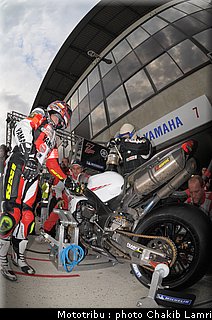 paddock_0076.jpg