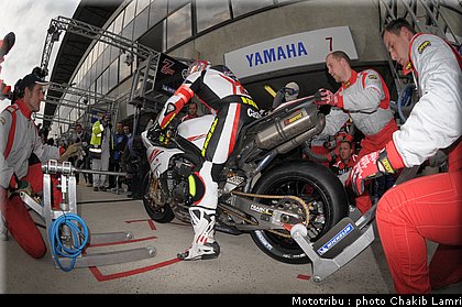 paddock_0077.jpg