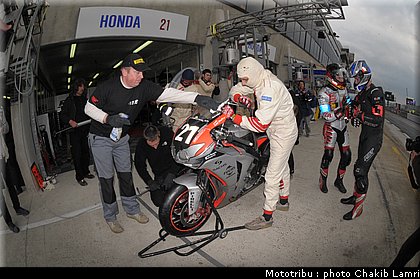 paddock_0078.jpg