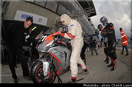 paddock_0079.jpg