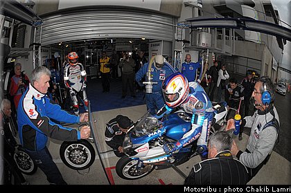 paddock_0080.jpg