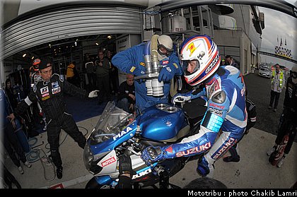paddock_0082.jpg