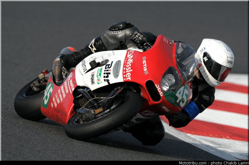 bol_dor_metiss_2010