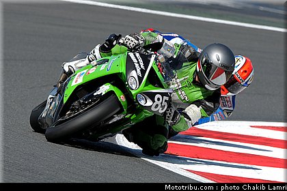 bol_dor_0042_2010.JPG
