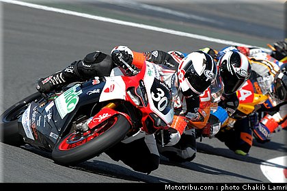 bol_dor_0043_2010.JPG