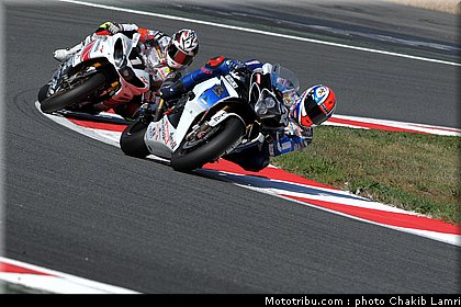 bol_dor_0046_2010.JPG
