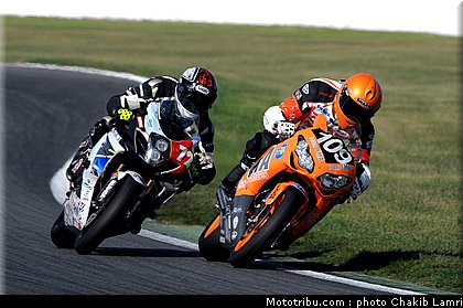bol_dor_0047_2010.JPG