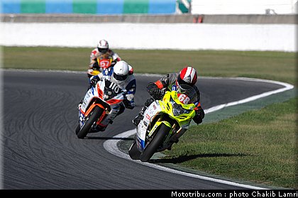 bol_dor_0049_2010.JPG