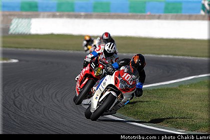bol_dor_0051_2010.JPG