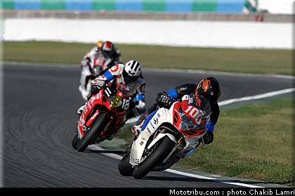 bol_dor_0052_2010.JPG