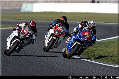 bol_dor_0053_2010.JPG