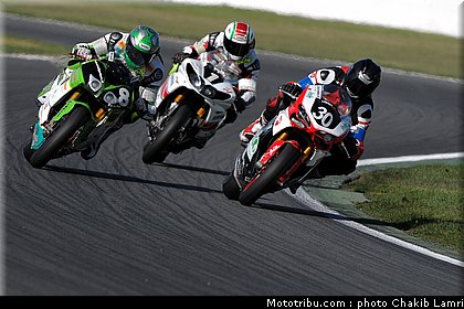 bol_dor_0054_2010.JPG