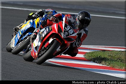 bol_dor_0100_2010.JPG