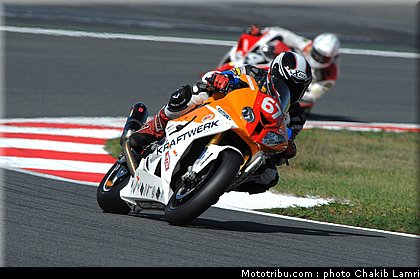 bol_dor_colexon_3_2010.JPG