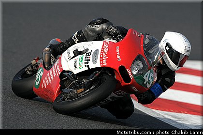 bol_dor_metiss_2010.JPG