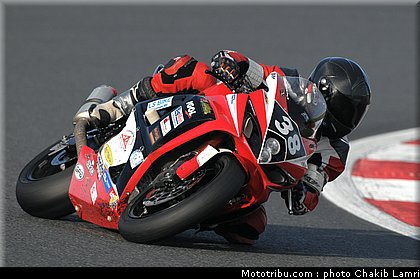 bol_dor_tms_2010.JPG