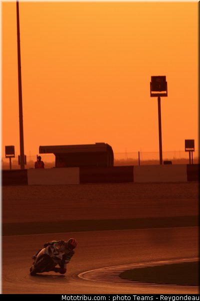 yart_005_endurance_2012_qatar_doha_losail