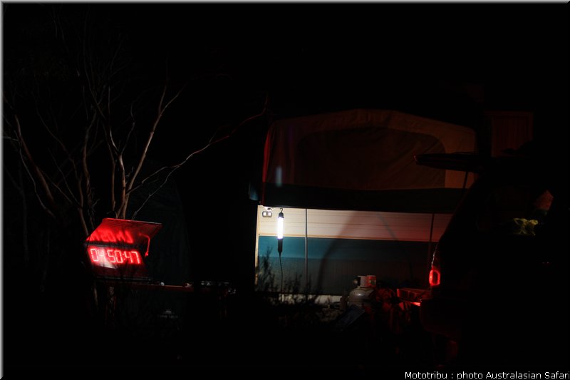 australasian_safari2008_0001