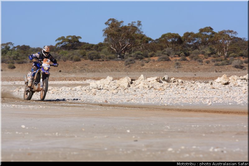 australasian_safari2008_0021