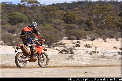 australasian_safari2008_0023.JPG