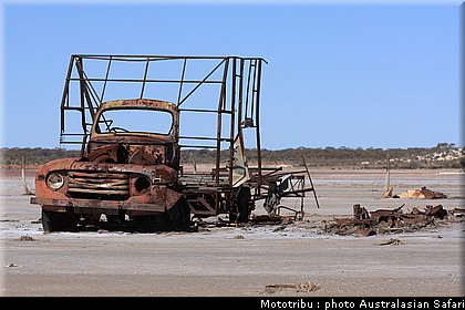 australasian_safari2008_0024.JPG