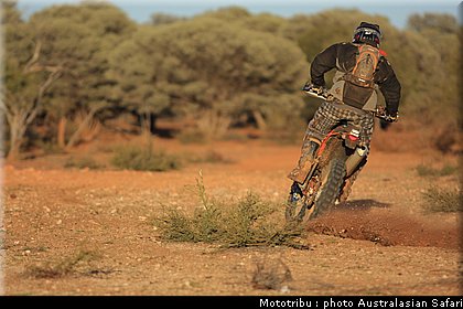 australasian_safari2008_0186.jpg