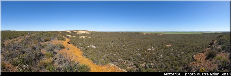 australasian_safari_2009_011
