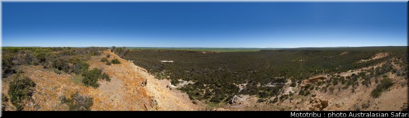 australasian_safari_2009_012