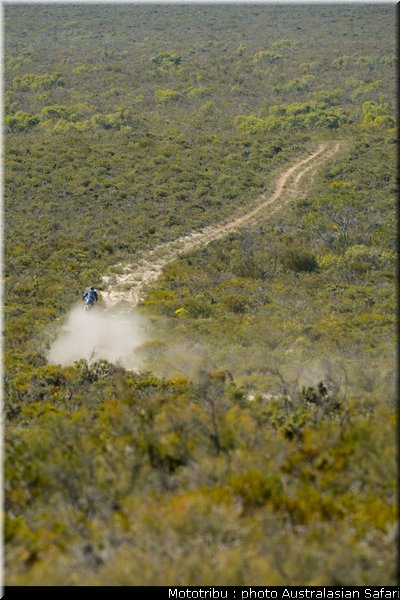 australasian_safari_2009_014