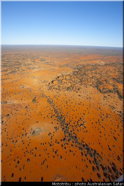 australasian_safari_2009_016