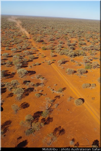 australasian_safari_2009_018