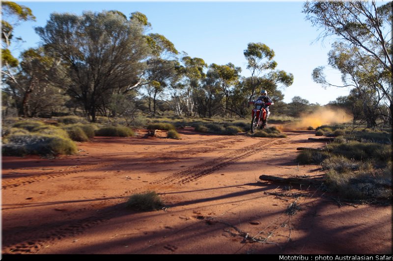 ben_graham_05_australasian_safari2009
