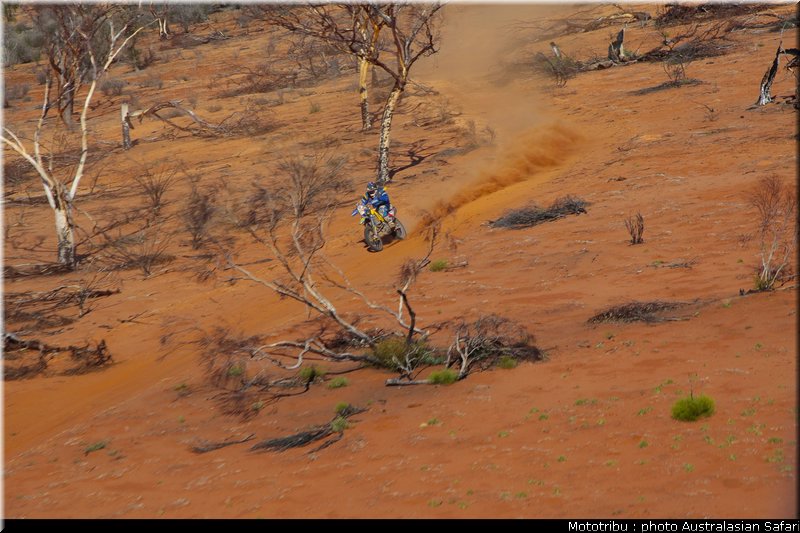 brandon_kienhuis_2_australasian_safari2009