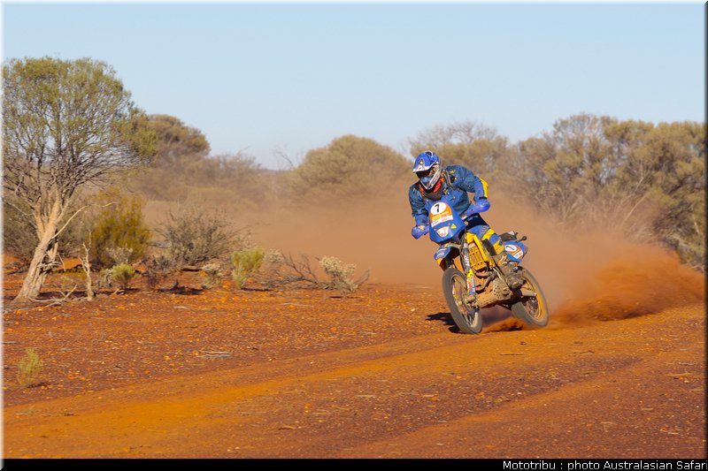 david_schwarz_1_australasian_safari2009
