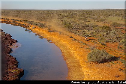 australasian_safari_2009_009.jpg
