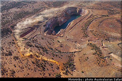 australasian_safari_2009_010.jpg