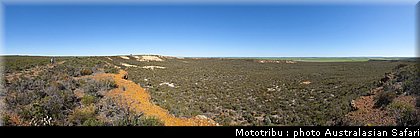 australasian_safari_2009_011.jpg