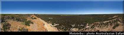 australasian_safari_2009_012.jpg