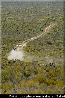 australasian_safari_2009_014.jpg