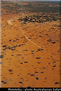 australasian_safari_2009_015.jpg