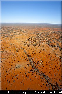australasian_safari_2009_016.jpg