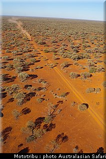 australasian_safari_2009_018.jpg