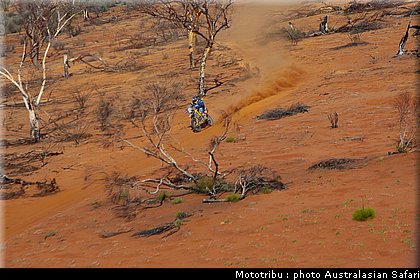 brandon_kienhuis_2_australasian_safari2009.jpg