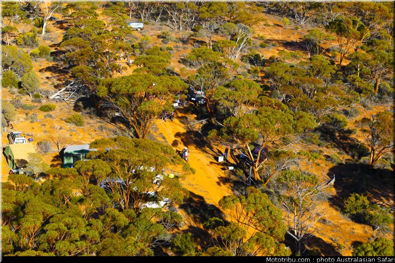 australasian_safari_017_2010