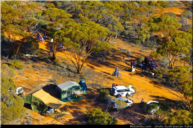 australasian_safari_018_2010