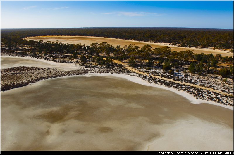 australasian_safari_022_2010